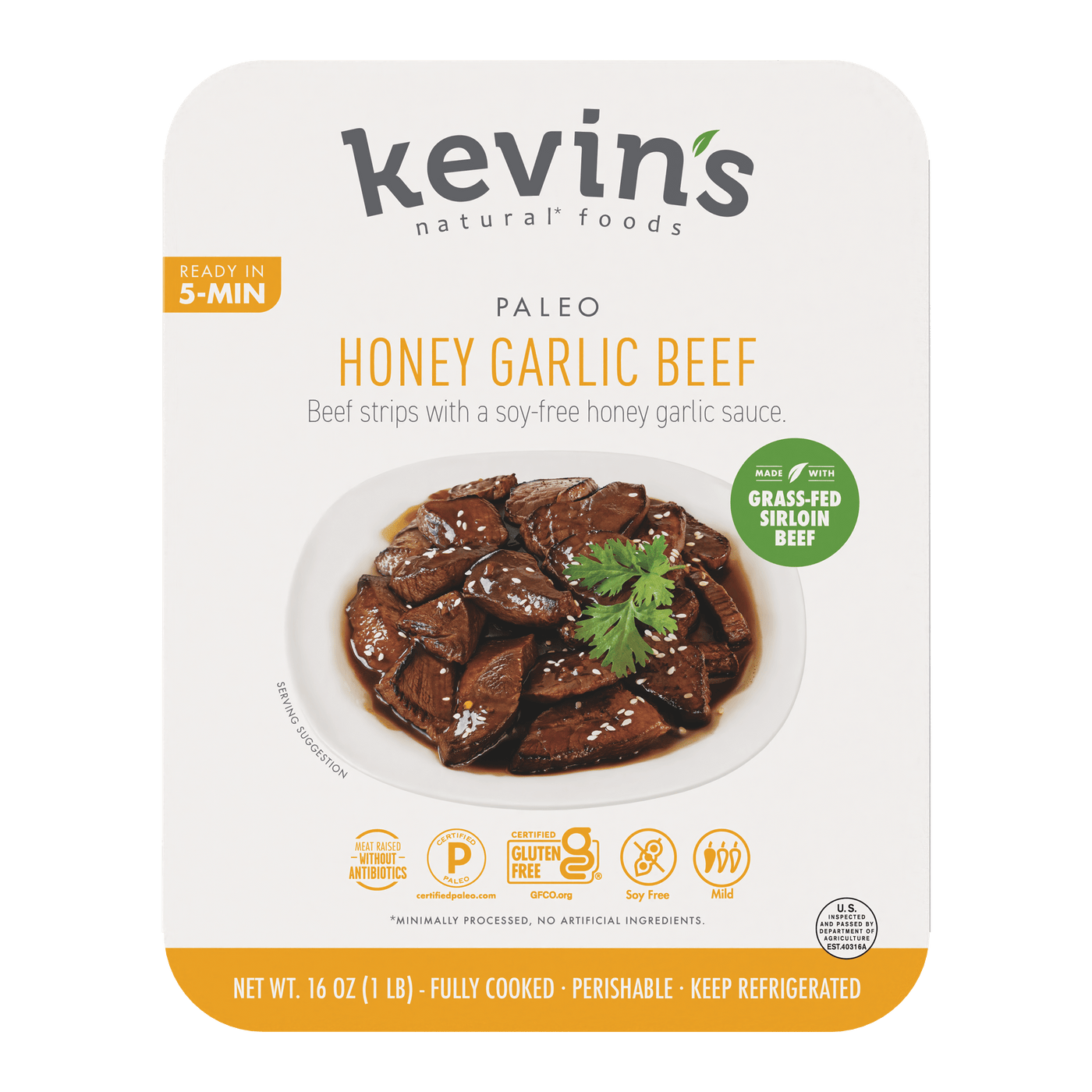 Honey Garlic Beef