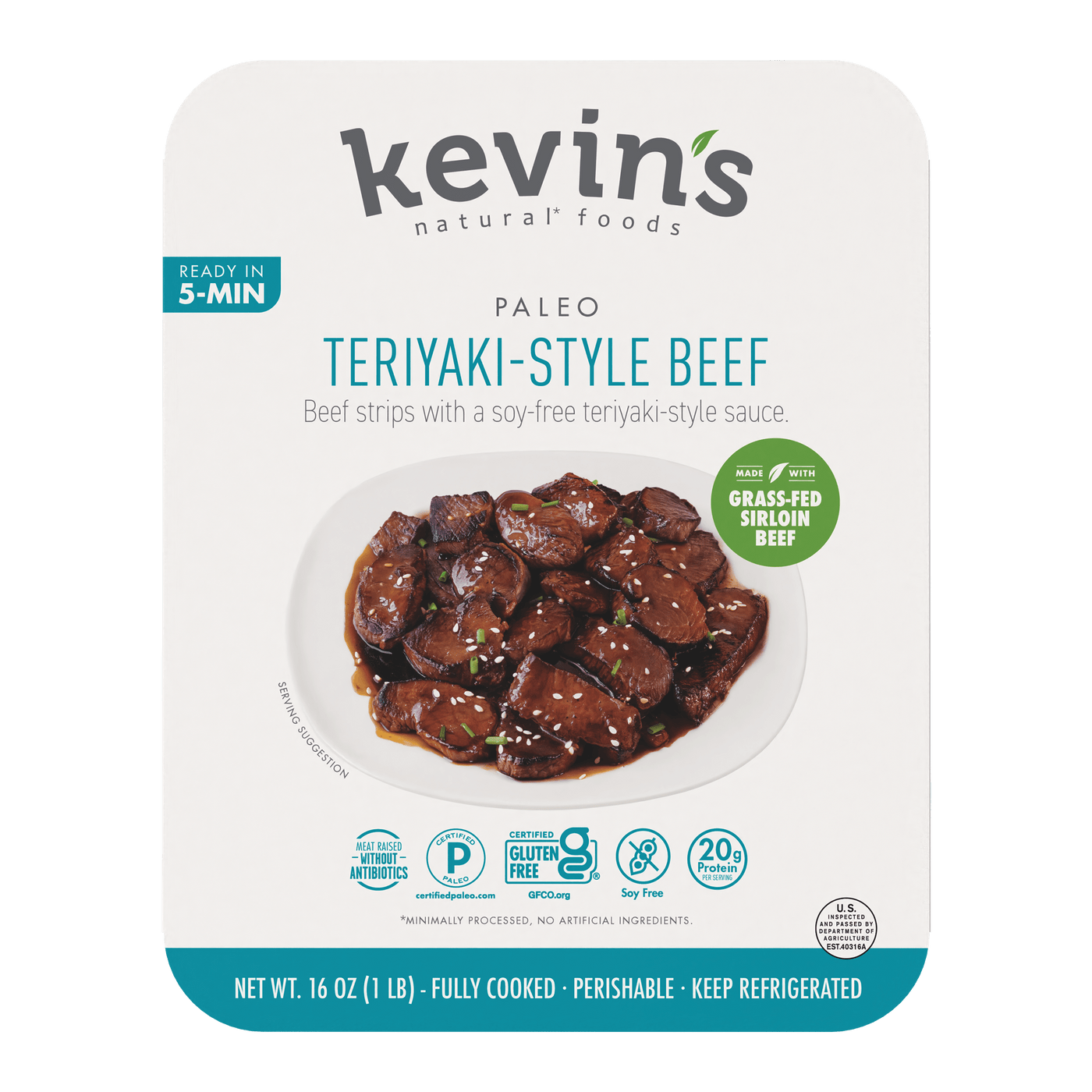 Teriyaki Beef