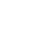 Beef Raised Without Antibiotics Icon