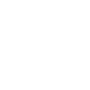Chicken Raised Without Antibiotics Icon